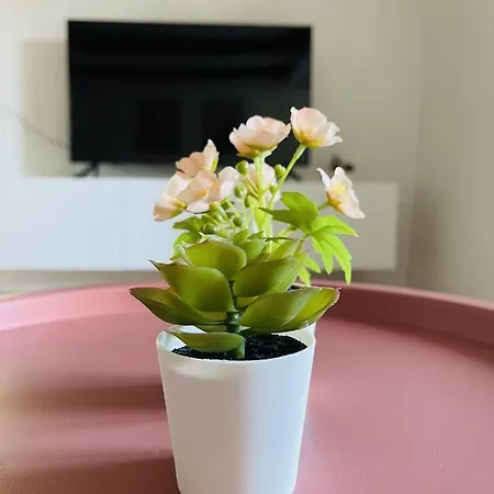 アパート Aday - Charming With Terrace